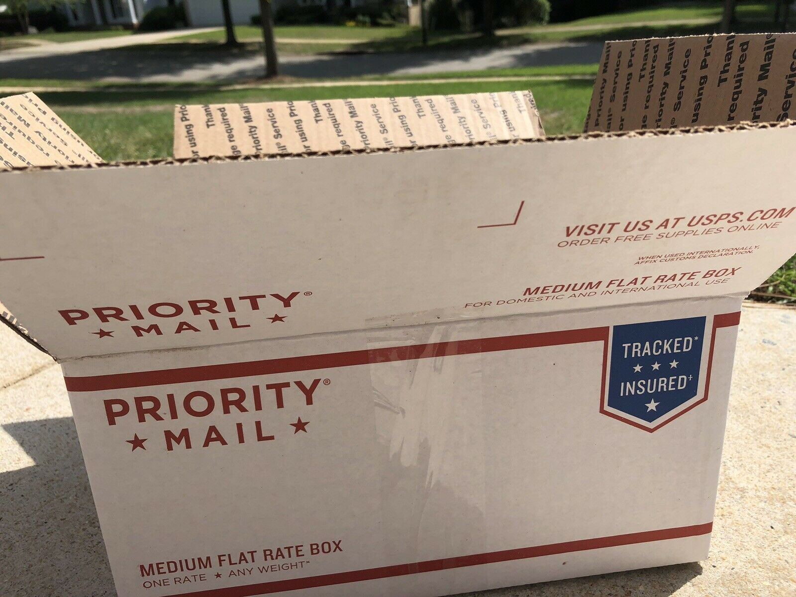 Fatwood, fat lighter, lighter wood, rich lighter, pine knot - Fresh Stock Dated December 2025