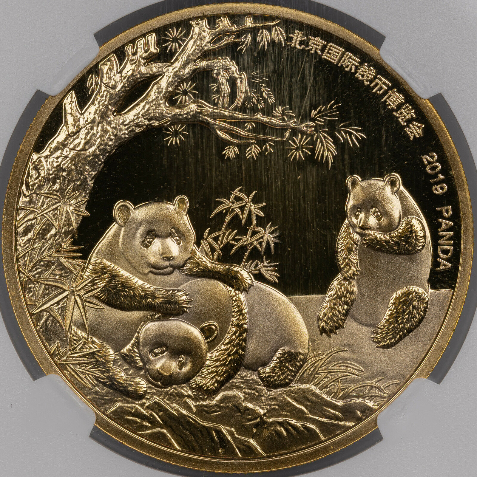 2019 GILT CHINA 40mm COPPER PANDA-BICE NGC PF70 ULTRA CAM FINEST KNOWN WORLWIDE> - Fresh Stock Dated February 2026