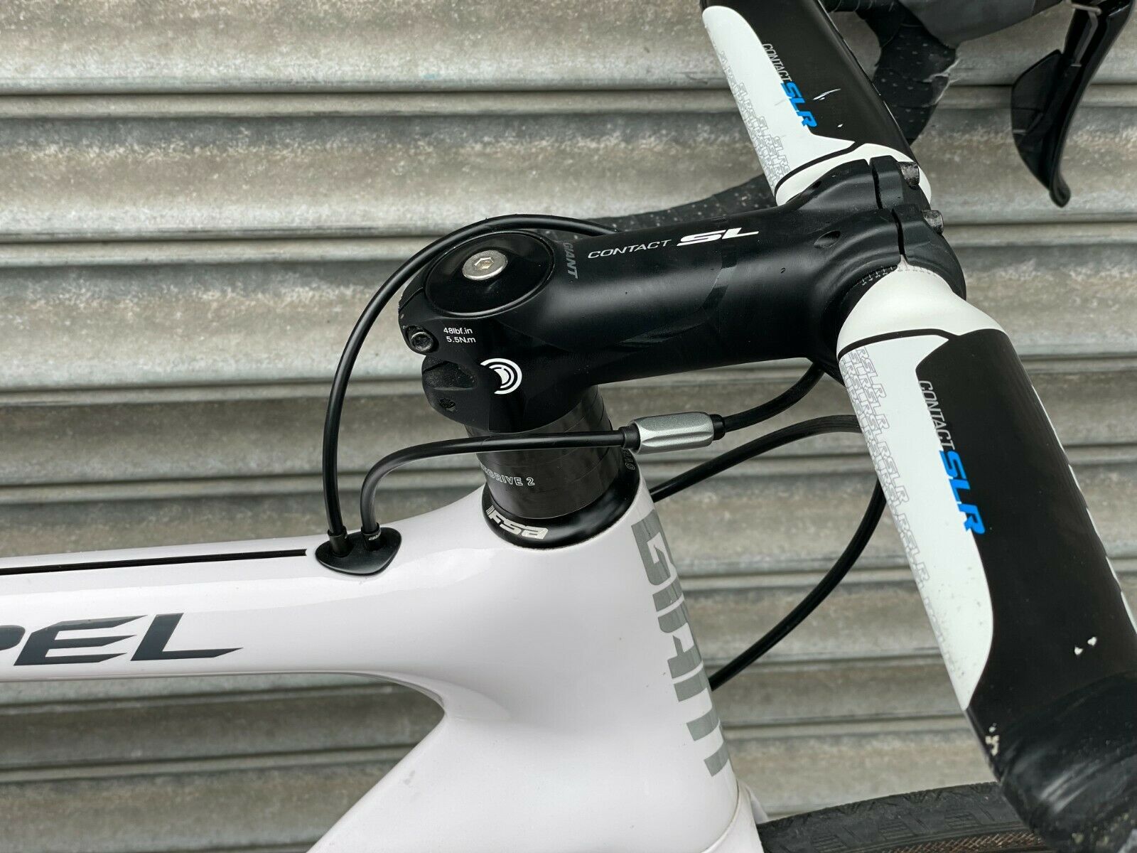 Giant Propel Advanced SL w/ Dura-Ace Components and Bontrager RaceXXXLite Wheels - Fresh Stock Dated December 2025