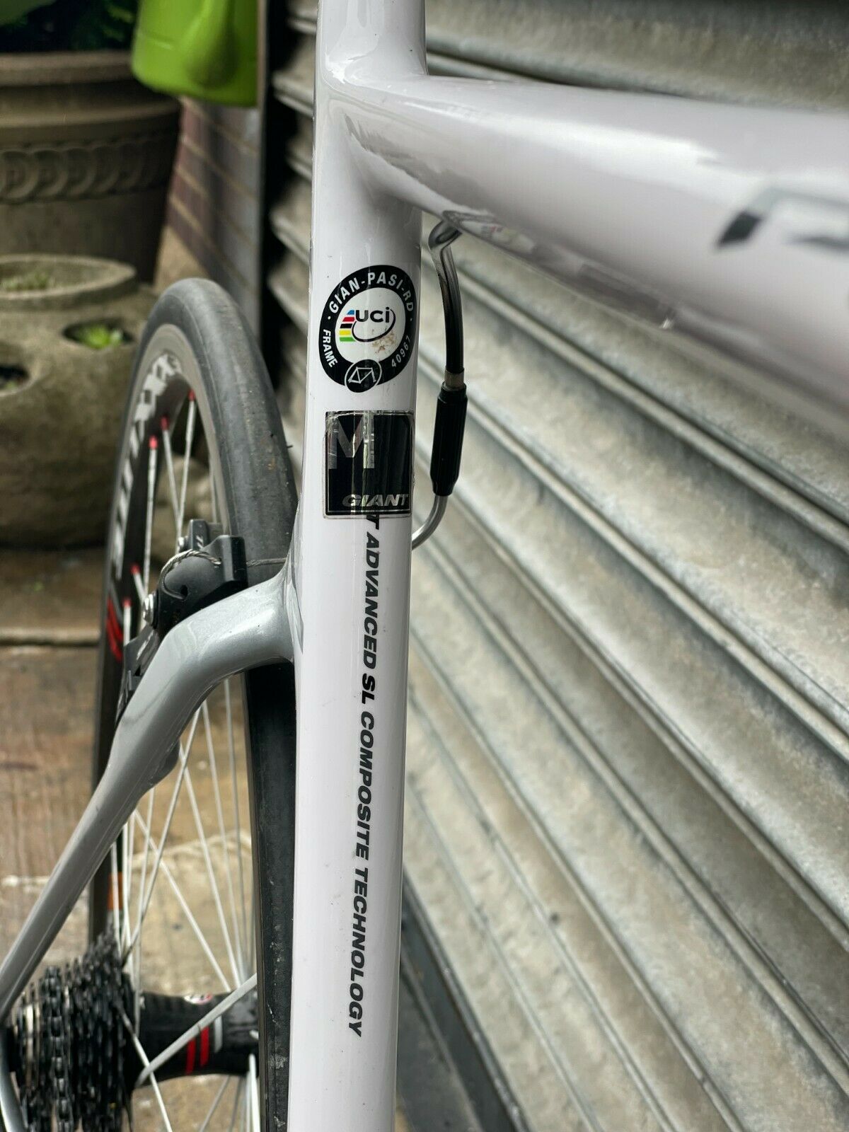 Giant Propel Advanced SL w/ Dura-Ace Components and Bontrager RaceXXXLite Wheels - Fresh Stock Dated December 2025