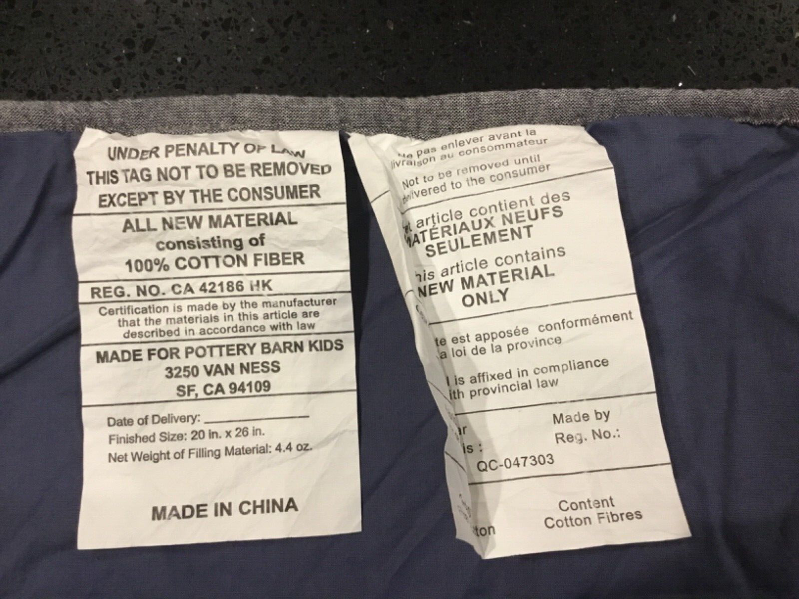 POTTERY BARN KIDS Jurassic Dinosaur ~ Quilted Pillow Sham ~ 20