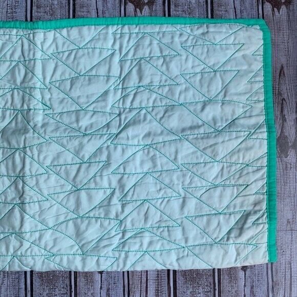 Pillowfort Mint Green Quilted Triangle Pillow Sham - Fresh Stock Dated December 2025