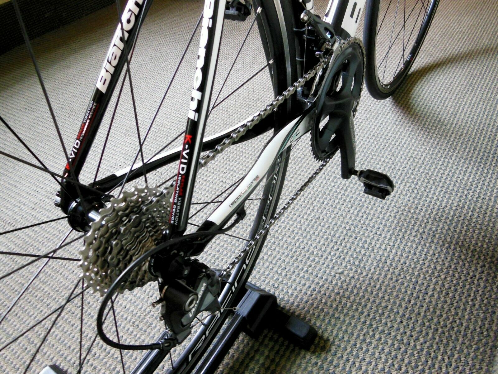 BIANCHI INTENSO BIKE CARBON FIBER MEDIUM FOR RIDERS UP TO 5' 8 FEET HIGH - Fresh Stock Dated February 2026