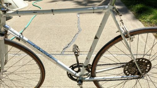 Rare Vintage 60's 70's Atala Road Bike Campagnolo Grand Prix 58cm made in Italy - Fresh Stock Dated February 2026