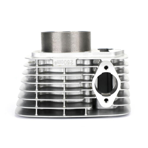 Cylinder Jug Piston Gaskets Kit 65.5mm Fit for Honda ATC200X/XL200/XR200 250cc - Fresh Stock Dated February 2026