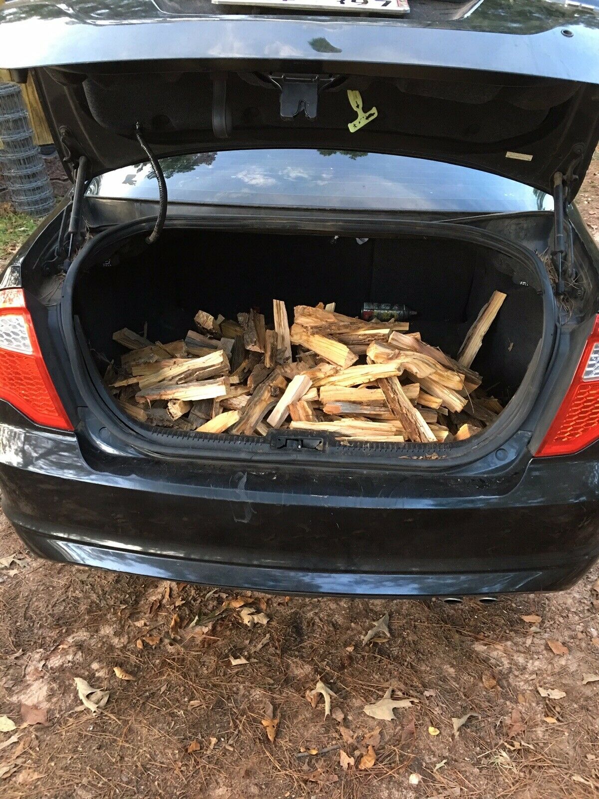 Louisiana Lighter Heart Pine Resin Kindling - Fresh Stock Dated December 2025