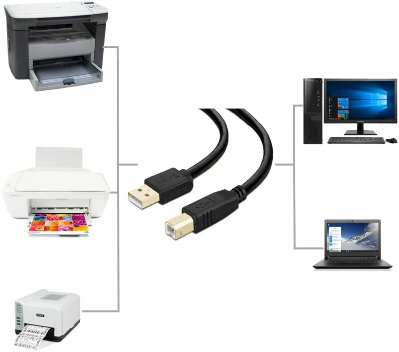 Printer Cable 20 ft, NC XQIN USB 2.0 Cord Type A-Male to 20ft - Fresh Stock Dated February 2026