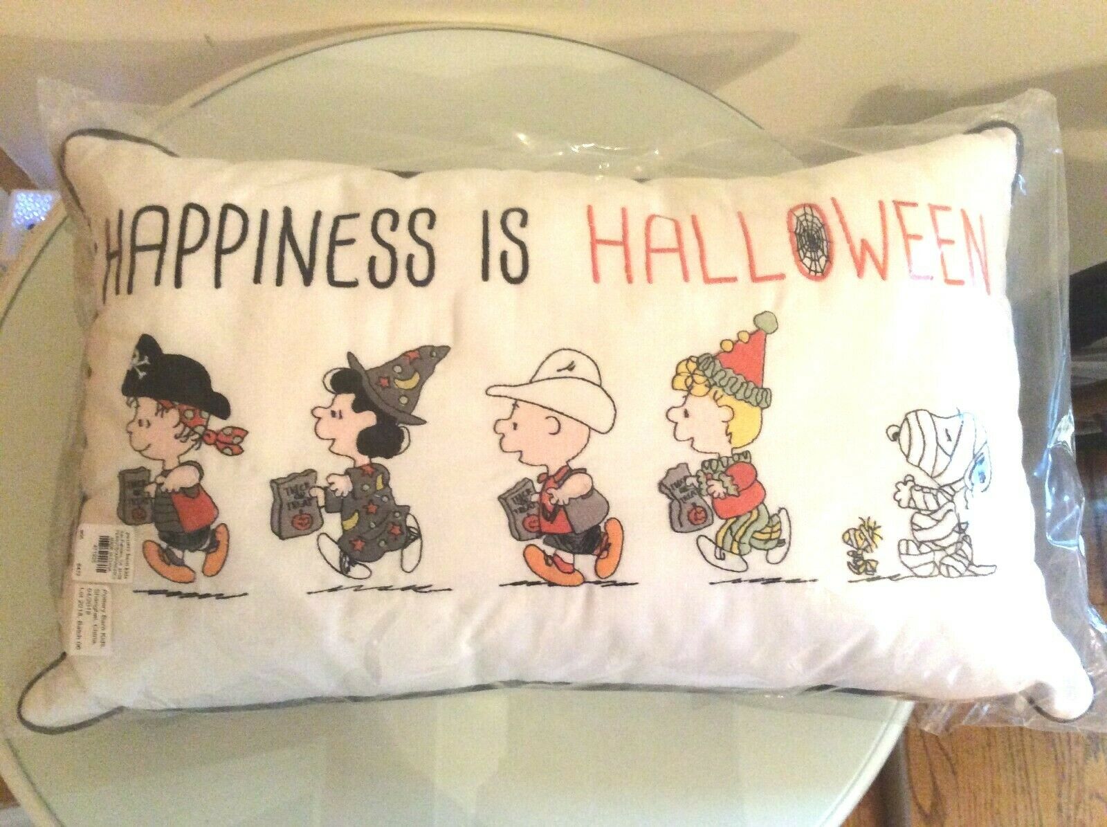 Pottery Barn SET Pillow+case Snoopy pumpkin halloween Charlie Brown holiday gift - Fresh Stock Dated December 2025