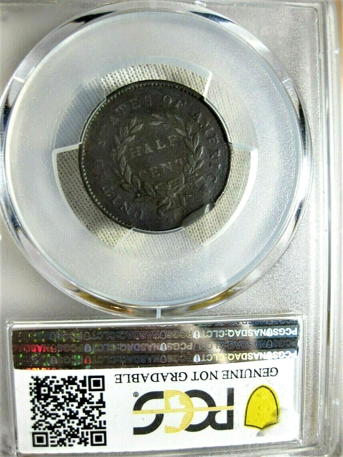 1794 Half Cent PCGS Graded VF Detail Genuine Edge Damage - Fresh Stock Dated February 2026