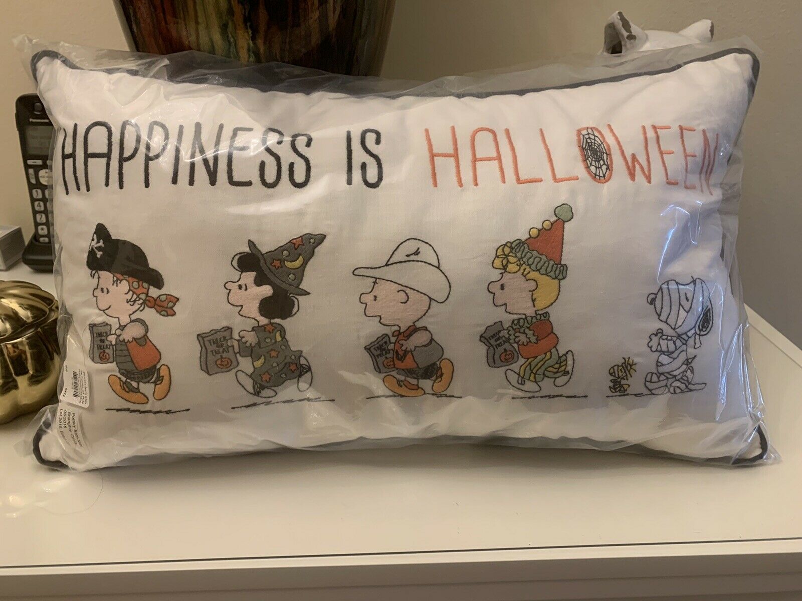 Pottery Barn SET Pillow+case Snoopy pumpkin halloween Charlie Brown holiday gift - Fresh Stock Dated December 2025