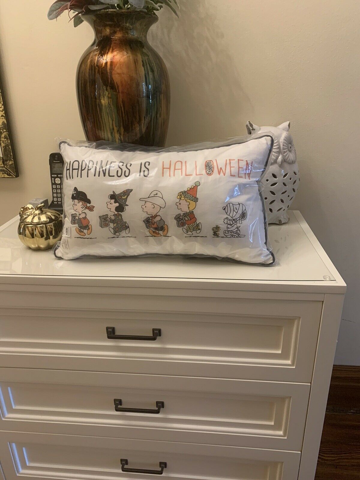 Pottery Barn SET Pillow+case Snoopy pumpkin halloween Charlie Brown holiday gift - Fresh Stock Dated December 2025