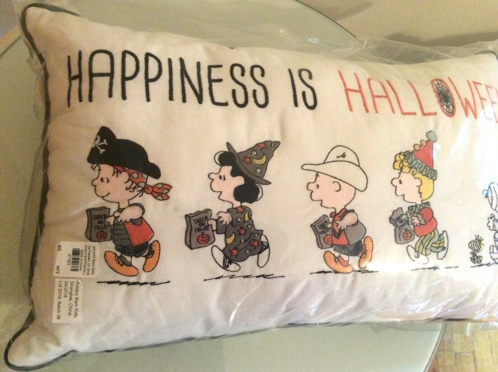 Pottery Barn SET Pillow+case Snoopy pumpkin halloween Charlie Brown holiday gift - Fresh Stock Dated December 2025