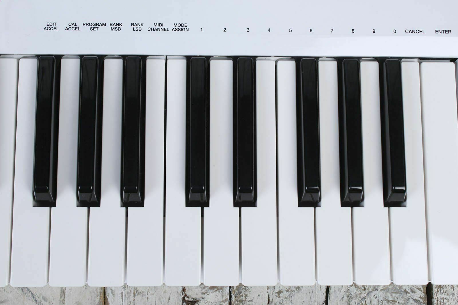 Alesis Vortex 37 Key USB Midi Keytar Controller with Accelerometer White DEMO - Fresh Stock Dated February 2026