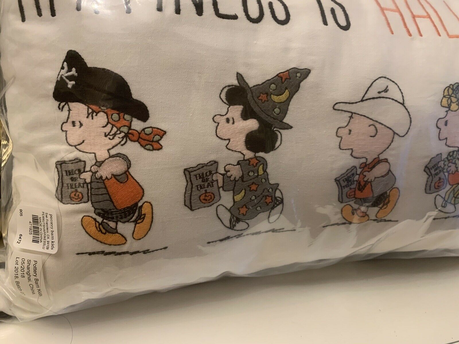 Pottery Barn SET Pillow+case Snoopy pumpkin halloween Charlie Brown holiday gift - Fresh Stock Dated December 2025