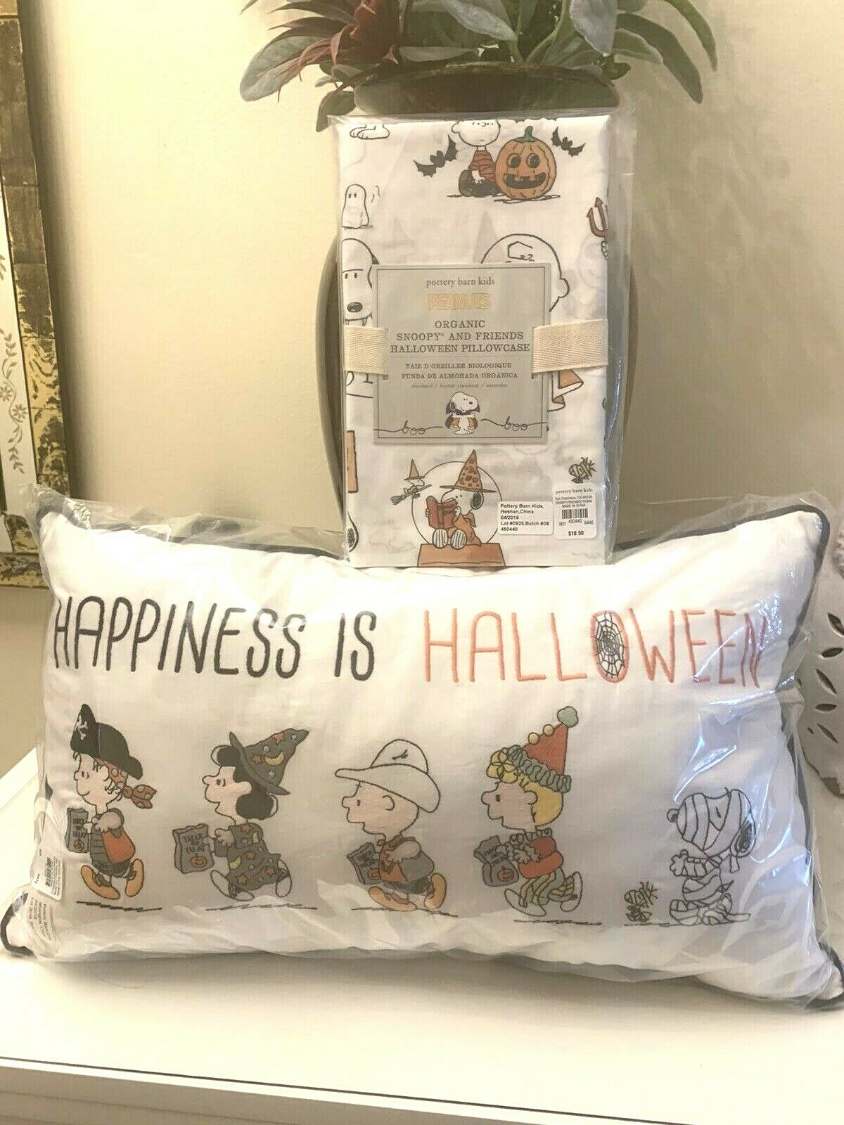 Pottery Barn SET Pillow+case Snoopy pumpkin halloween Charlie Brown holiday gift - Fresh Stock Dated December 2025