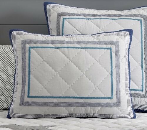 Set Of 2 Pottery Barn Kids Teen Dustin Dino Quilted Shams Gray Blue Standard NEW - Fresh Stock Dated December 2025