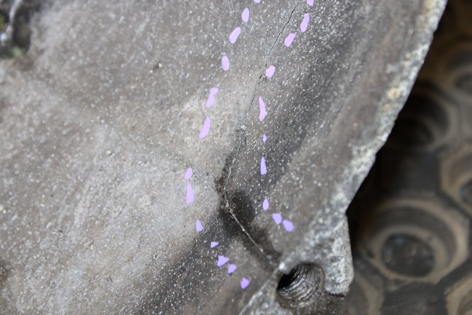 2002 04 ACURA RSX TYPE-S K20A2 2.OL OEM 6 SPEED MANUAL TRANSMISSION K20 DC5 - Fresh Stock Dated February 2026