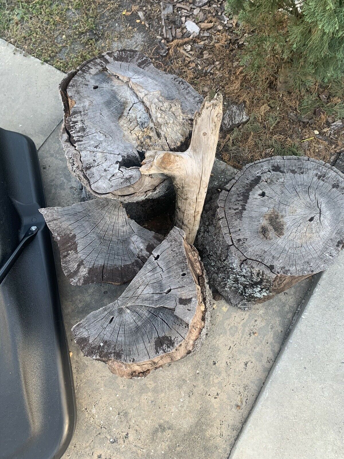 firewood - Fresh Stock Dated December 2025