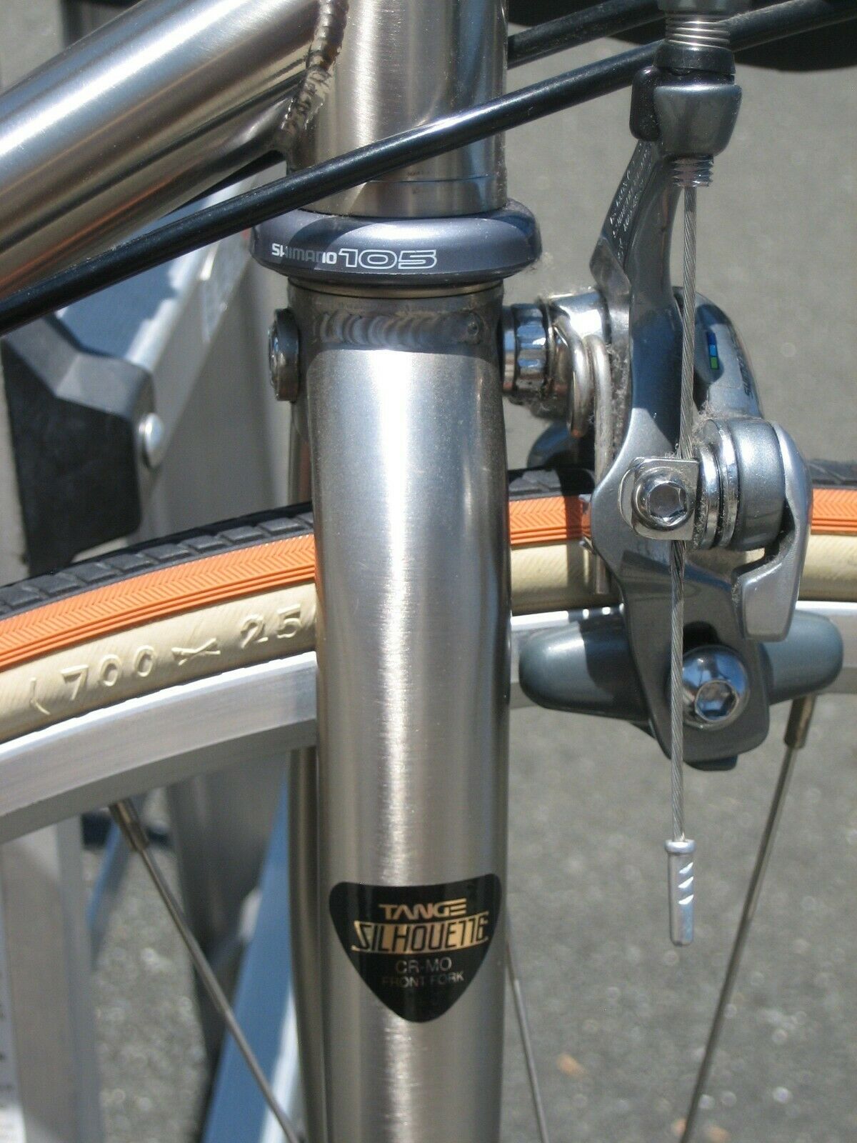 Brand New Top Of  The Line REI Novara Trionfo 16 Speed Road Bike (NOS) - Fresh Stock Dated February 2026