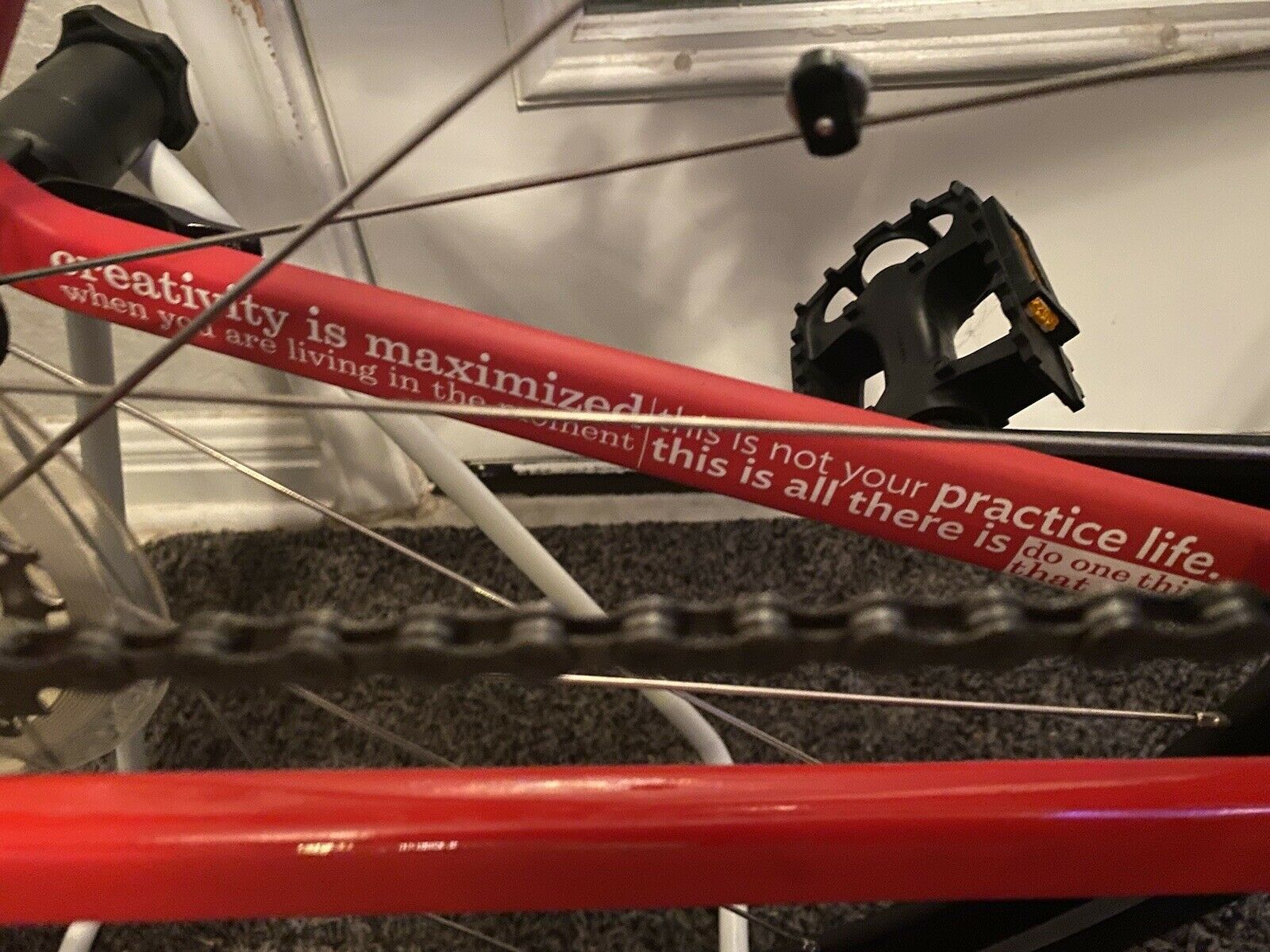 specialized road bike 51cm - Fresh Stock Dated February 2026