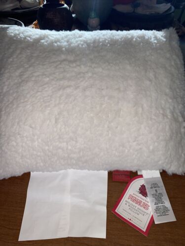 Pottery Barn Kids Peanuts Holiday Snoopy And Woodstock Pillow - Fresh Stock Dated December 2025