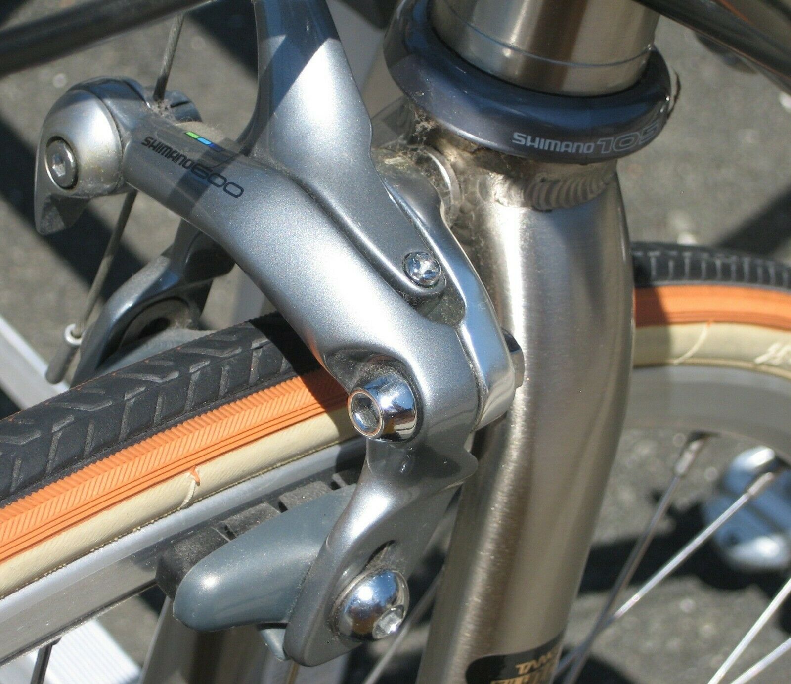 Brand New Top Of  The Line REI Novara Trionfo 16 Speed Road Bike (NOS) - Fresh Stock Dated February 2026