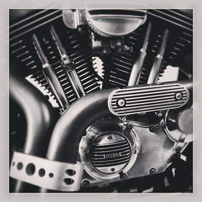 Lowbrow Customs Finned 6