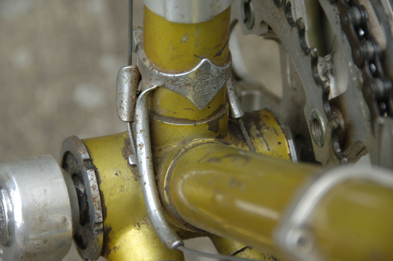 Sears Free Spirit,Reynolds 531 touring frame, Blackburn racks, Campagnolo brakes - Fresh Stock Dated February 2026