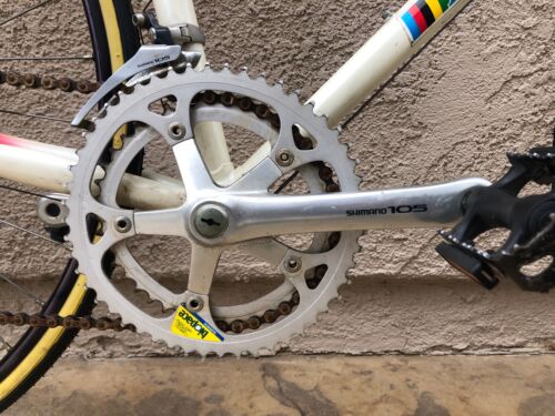 Clean Bennotto 12 speed road racing bike shimano 105 campagnolo cinelli - Fresh Stock Dated December 2025