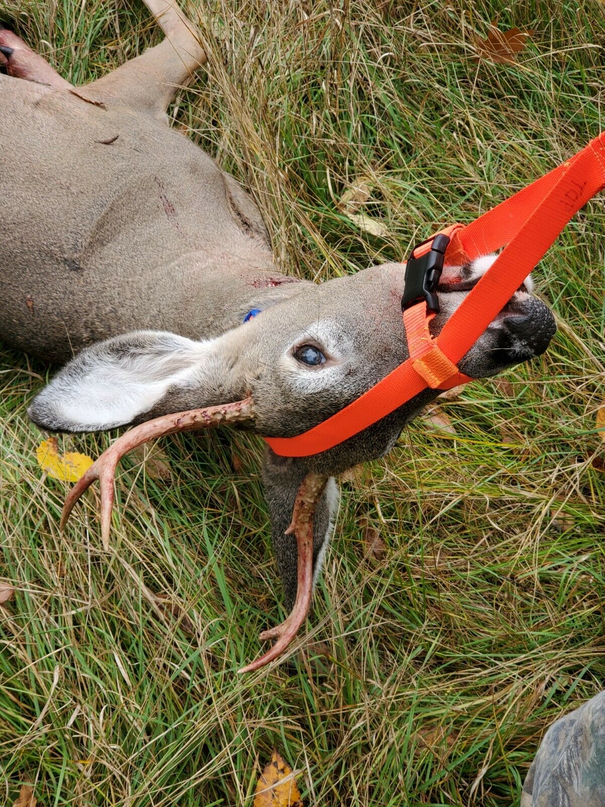 Hunters-Partner Deer Drag -Just Snap, Pull & Go  Special Price Only .95 - Fresh Stock Dated February 2026