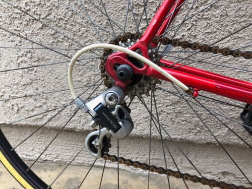 Clean Bennotto 12 speed road racing bike shimano 105 campagnolo cinelli - Fresh Stock Dated December 2025