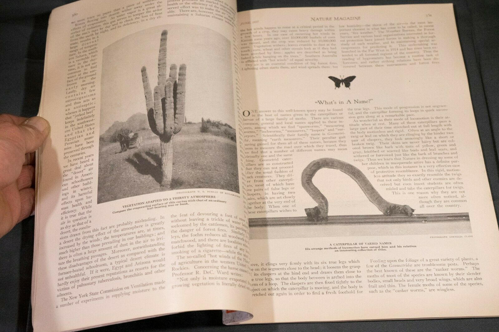 Nature Magazine June 1927 No.6 Nice Phillip Hexom Duotone Lithographic Cover - Fresh Stock Dated December 2025