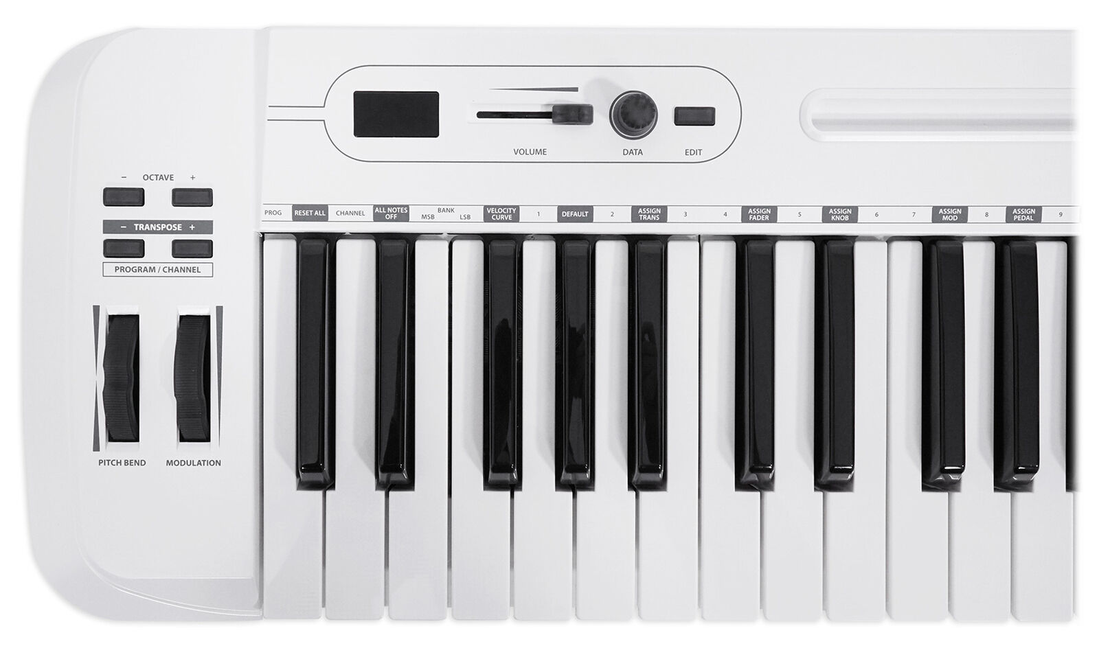 Samson Carbon 49 Key USB MIDI DJ Keyboard Controller+Komplete Elements Software - Fresh Stock Dated February 2026
