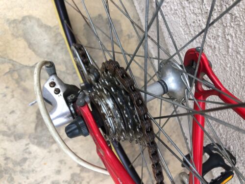 Clean Bennotto 12 speed road racing bike shimano 105 campagnolo cinelli - Fresh Stock Dated December 2025