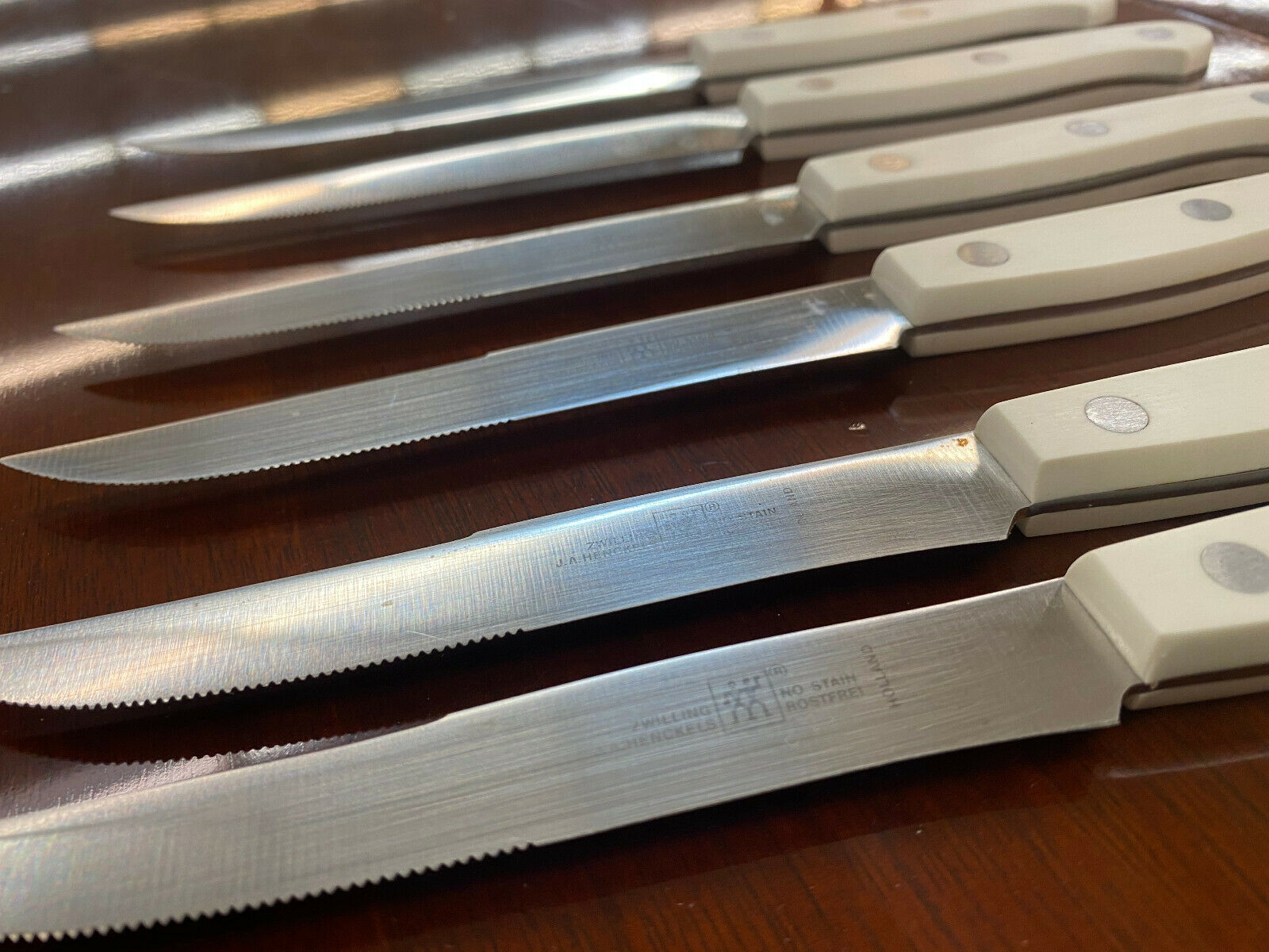 6 piece Zwilling J.A. Henckels White Handle Steak Knife Set  rostfrei Holland  A - Fresh Stock Dated December 2025