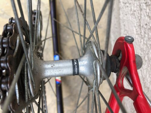 Clean Bennotto 12 speed road racing bike shimano 105 campagnolo cinelli - Fresh Stock Dated December 2025