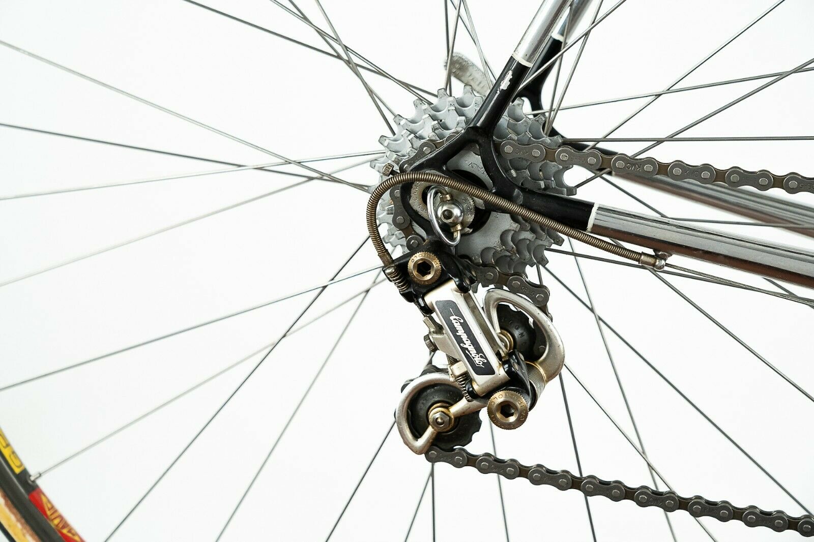 NOS CICLO PIAVE CAMPAGNOLO SUPER RECORD STEEL ROAD BIKE VINTAGE OLD ITALIAN 80s - Fresh Stock Dated February 2026