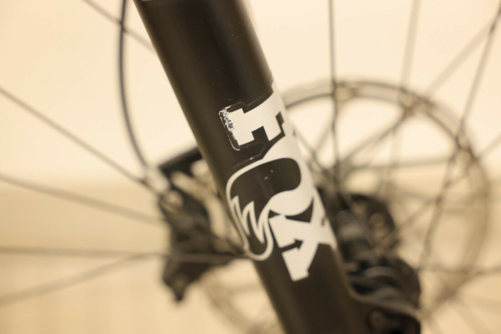 Specialized Stumpjumper Expert Carbon 29 - Pro Blue/Vivid Pink - XL - Fresh Stock Dated February 2026