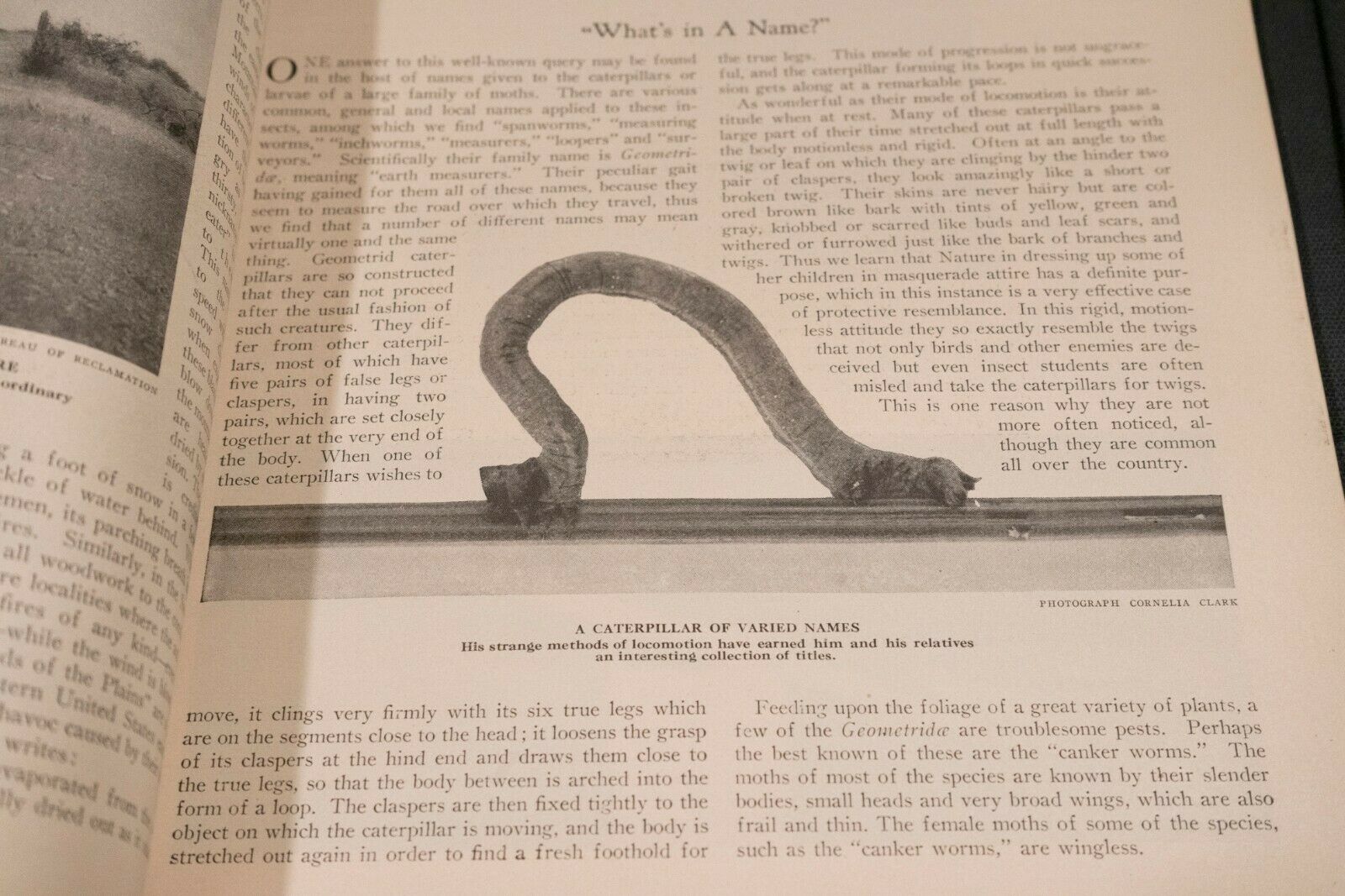 Nature Magazine June 1927 No.6 Nice Phillip Hexom Duotone Lithographic Cover - Fresh Stock Dated December 2025