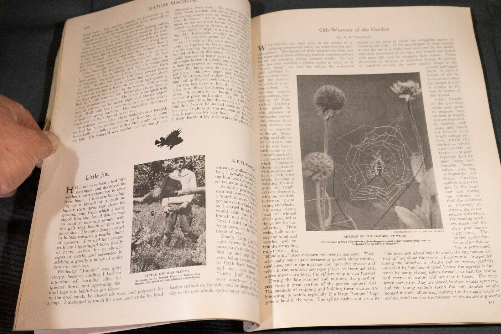 Nature Magazine June 1927 No.6 Nice Phillip Hexom Duotone Lithographic Cover - Fresh Stock Dated December 2025