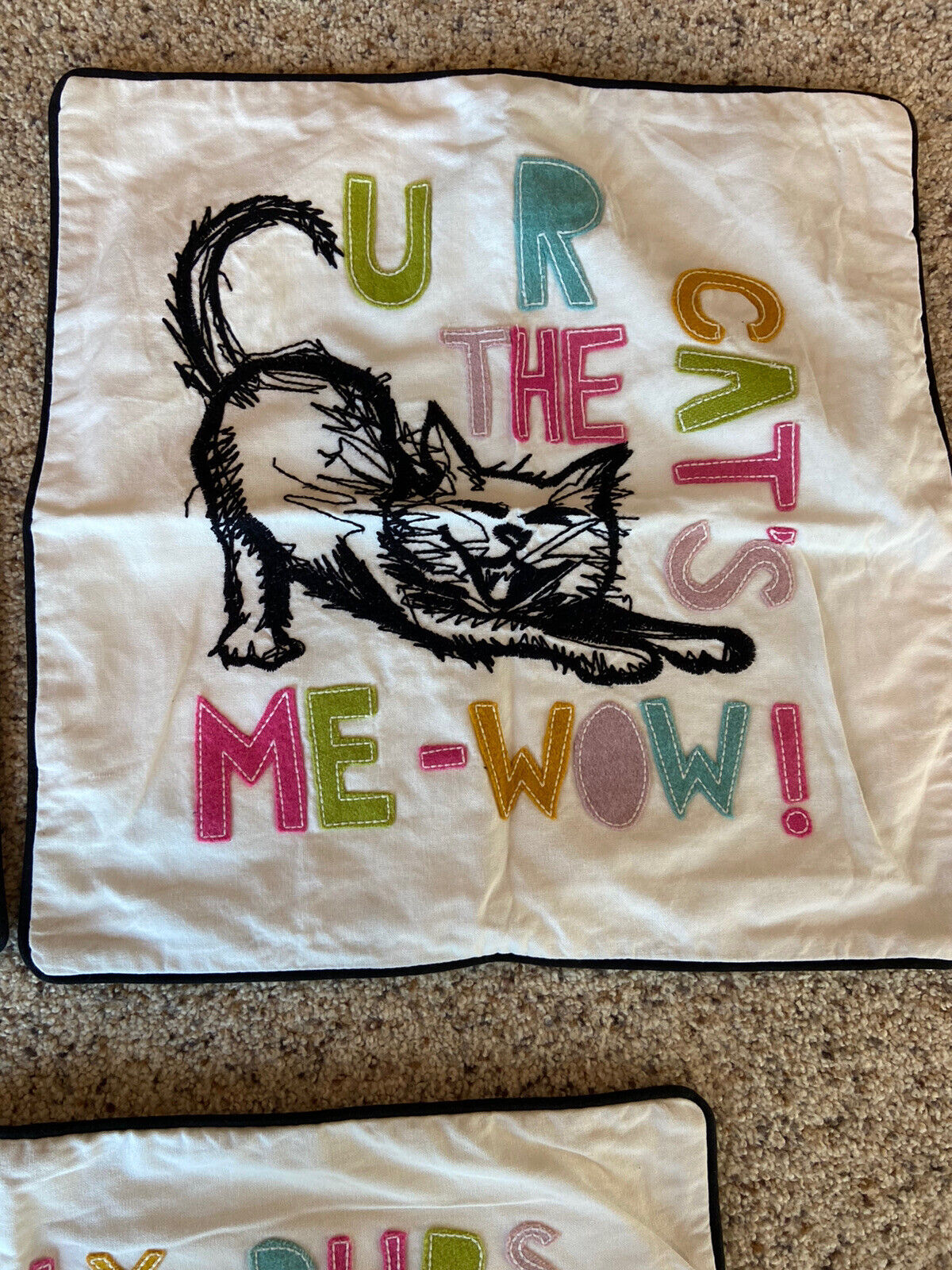 Pottery Barn Teen Pet Pals Pillow Covers (3) - Fresh Stock Dated February 2026