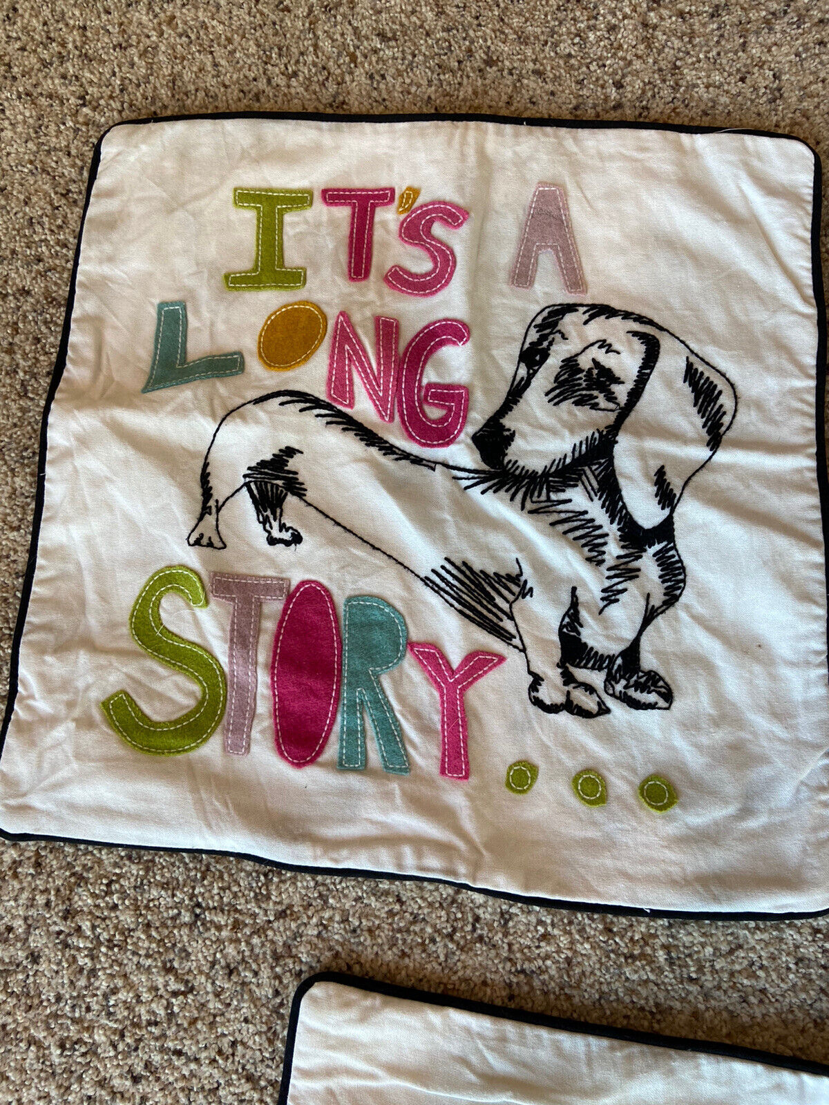 Pottery Barn Teen Pet Pals Pillow Covers (3) - Fresh Stock Dated February 2026