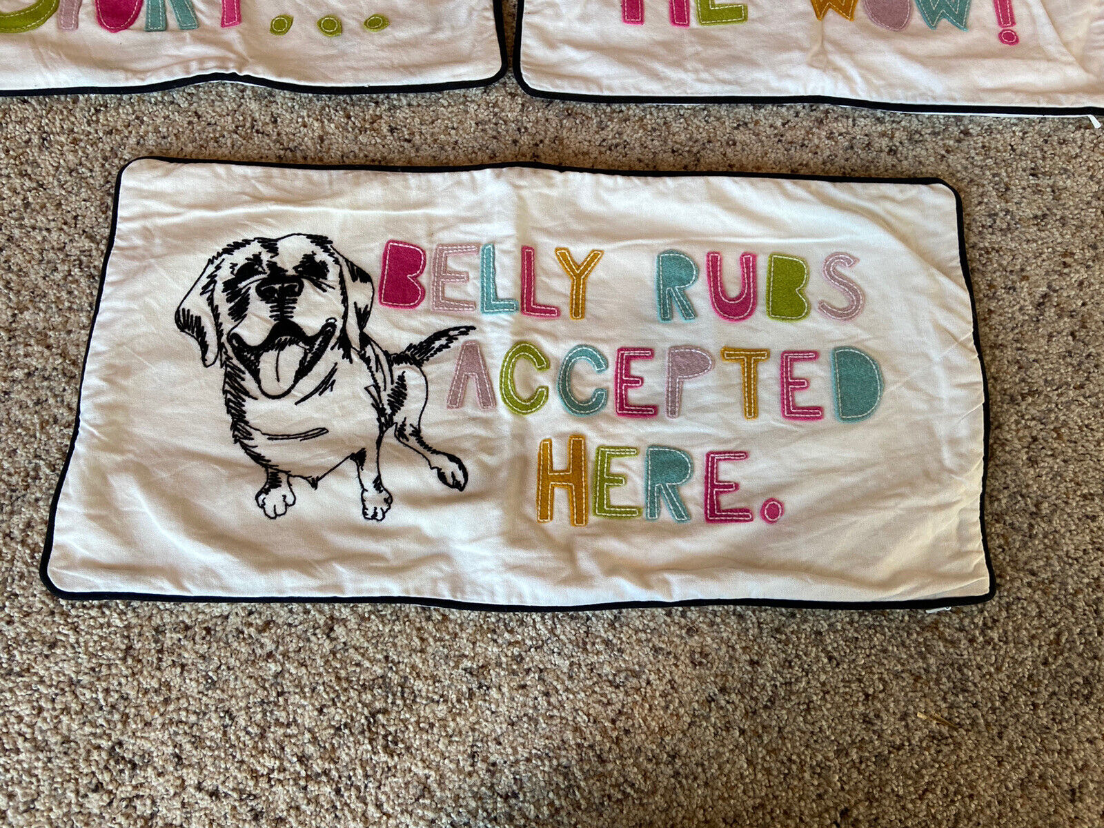 Pottery Barn Teen Pet Pals Pillow Covers (3) - Fresh Stock Dated February 2026