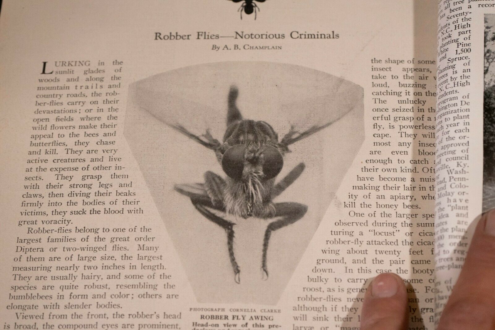 Nature Magazine June 1927 No.6 Nice Phillip Hexom Duotone Lithographic Cover - Fresh Stock Dated December 2025