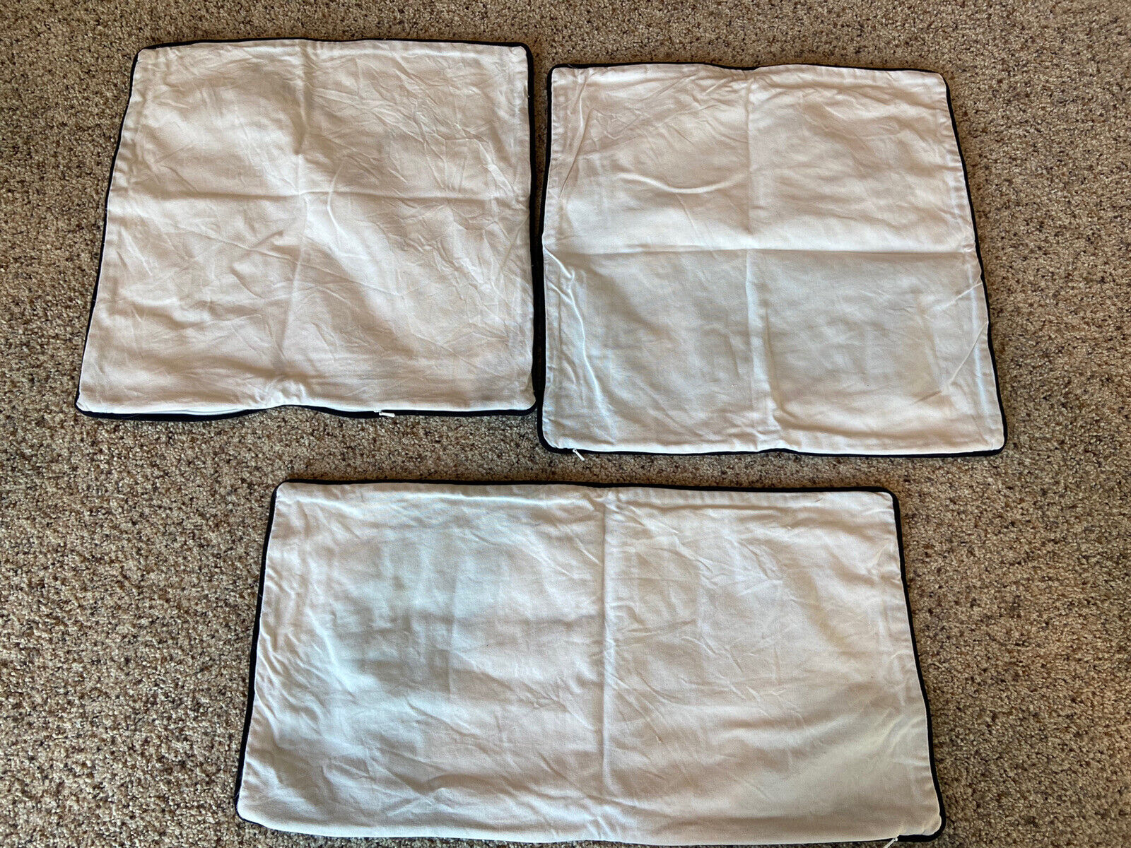 Pottery Barn Teen Pet Pals Pillow Covers (3) - Fresh Stock Dated February 2026