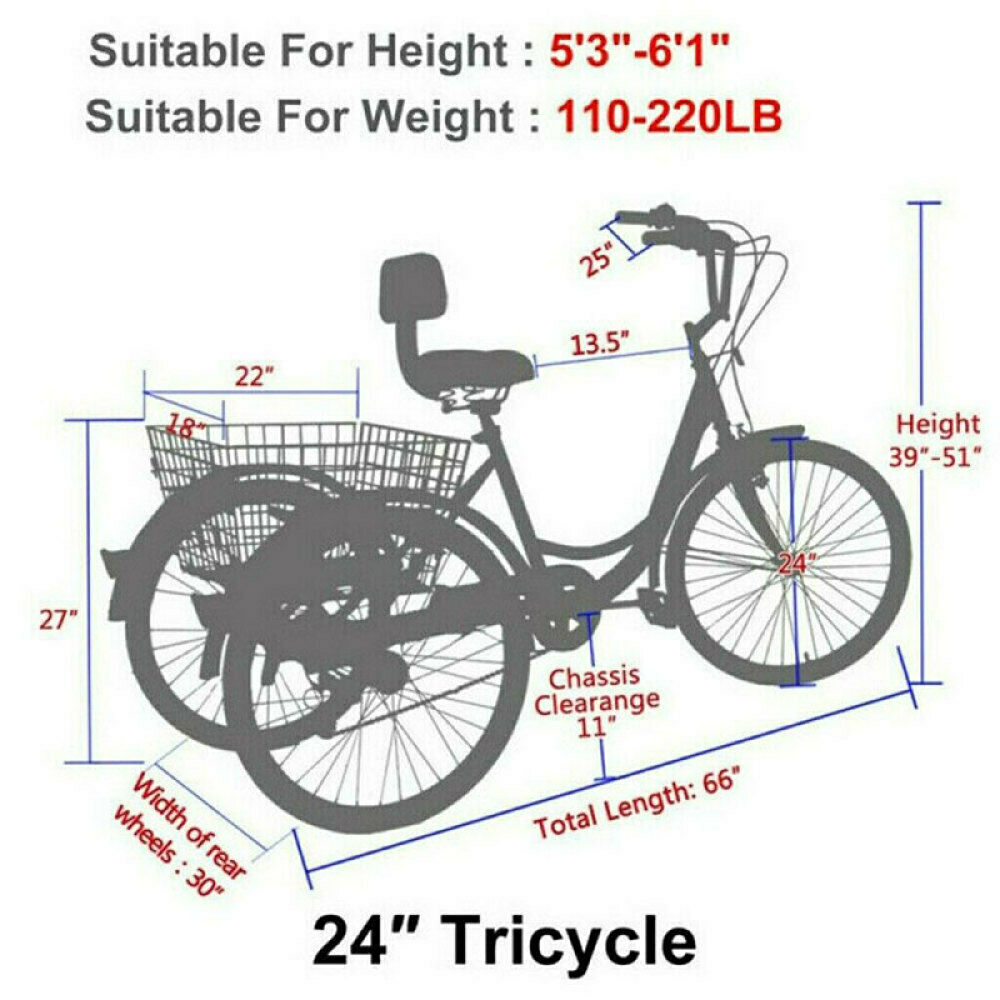 Adults/Seniors Tricycle 7 Speed 24 inch 3 Wheels Bicycle Cruiser Trike w/ Basket - Fresh Stock Dated February 2026