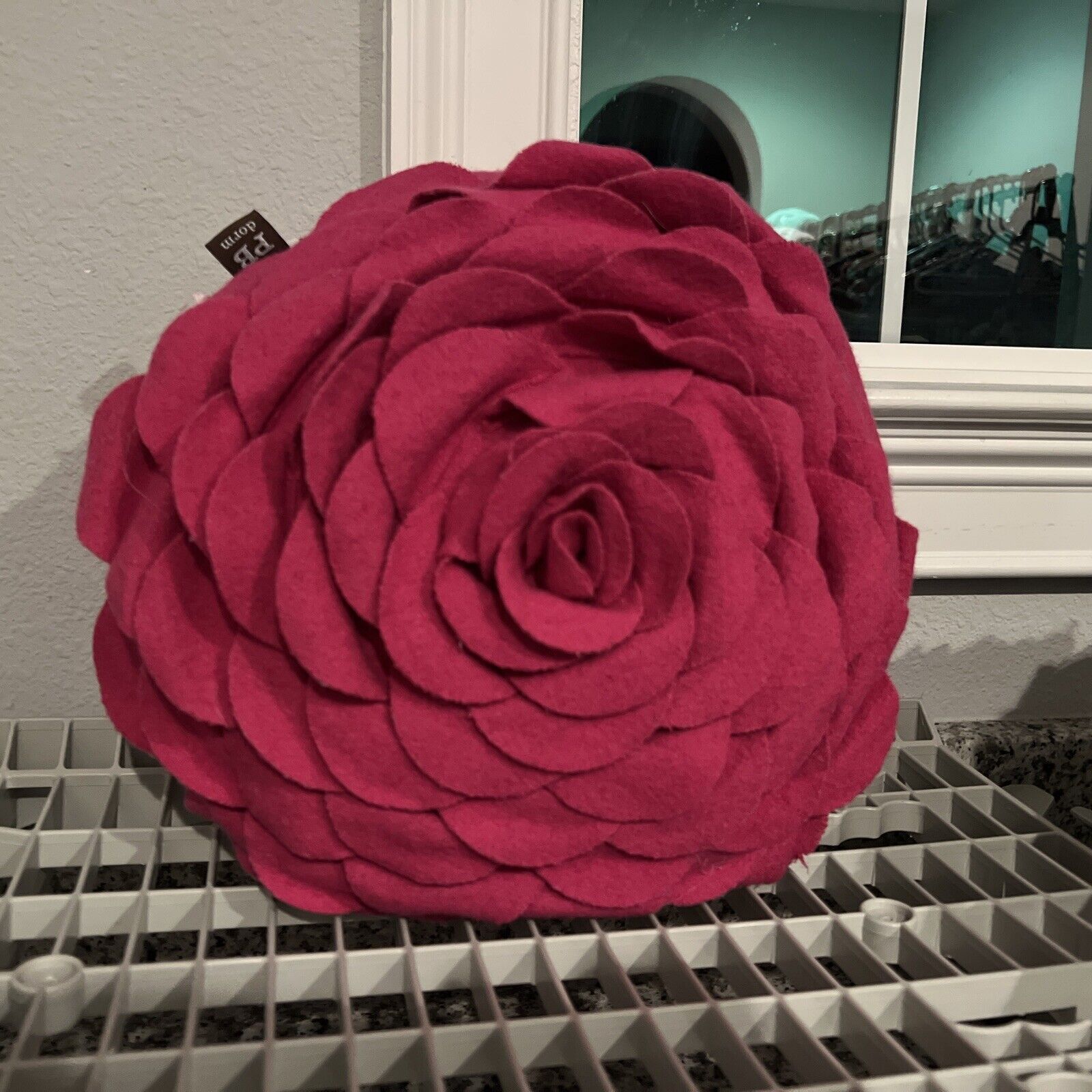 Pottery Barn Teen Rose Flowers Throw Pillows pink and black - Fresh Stock Dated February 2026