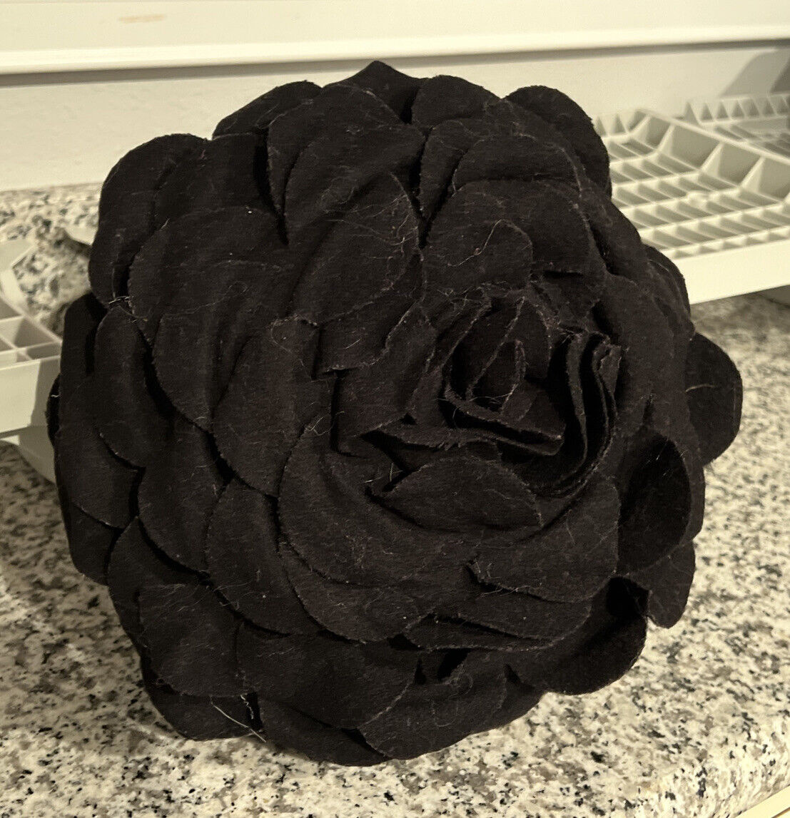Pottery Barn Teen Rose Flowers Throw Pillows pink and black - Fresh Stock Dated February 2026