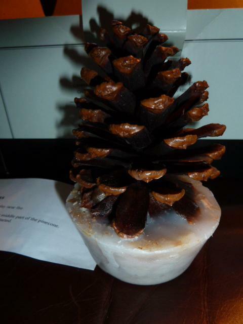 NIB Restoration Hardware Set of 6 Large Wax Pine Cone Fire Starters/Firestarters - Fresh Stock Dated December 2025