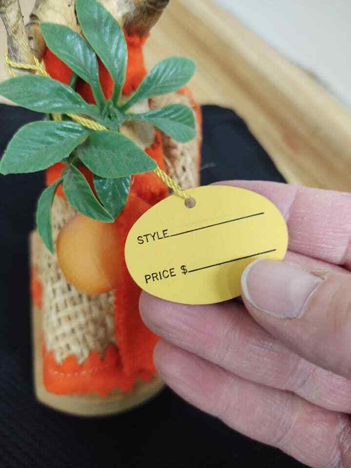 Vintage taxidermy alligator with skirt, original tags from Miami. - Fresh Stock Dated February 2026